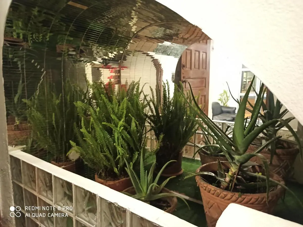 Casa Lombeida Hostel Quito Ecuador